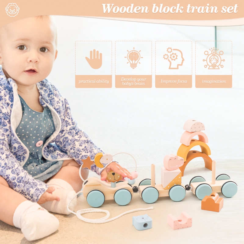 Wooden Montessori Toys Animal  - Kids Toys 2 Year Old reseña y precio